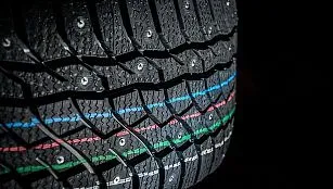 Viatti Bosco Nordico – продуманное строение и повышенная надежность 